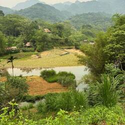This is how we'd pictured Vietnam!