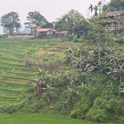 Our eco lodge, top right, above the rice paddies.