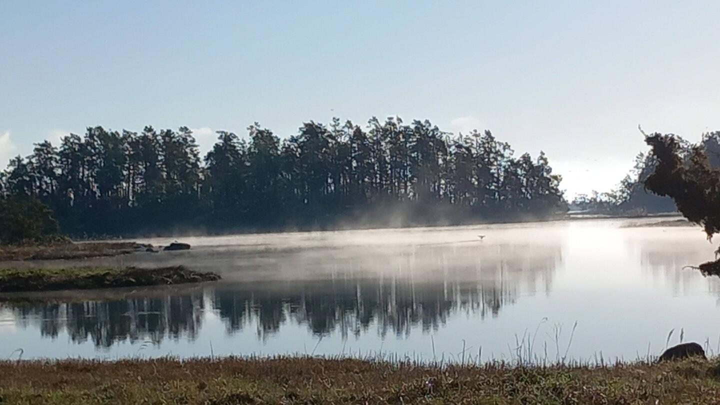 Etwas Mystik liegt über dem Wasser