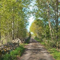 Der Weg lockt