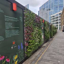 48 % der Stadt London sind begrünt, das kann auch so aussehen.