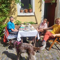 Frühstück im Sonnenschein.