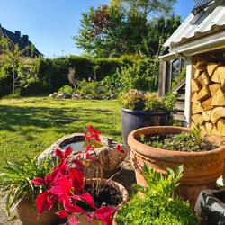 Gartenimpression mit Sonnenschein