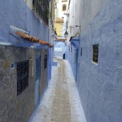 Blau No. 7