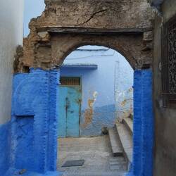 Blau No. 8