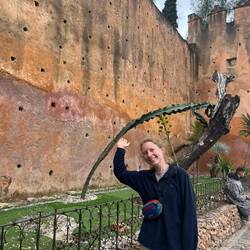 Zwischen den blauen Häusern der Medina ragt das Kasbah hervor. Hanna stützt den Kaktus vorm Umfallen