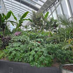 Darum heisst es Sky Garden!