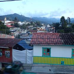 View from our studio