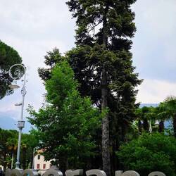 Merano: relax alpino perfecto.