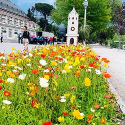 Ciudad alpina con jardines exuberantes.