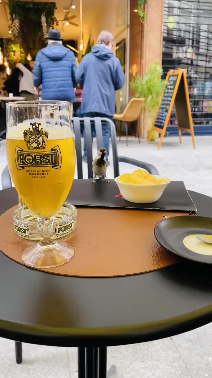 Así es tomarse una cerveza en Merano