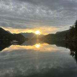 Little Joe in the sunrise