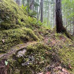 This Bold Head trail was a lot steeper than what it appears in the picture!