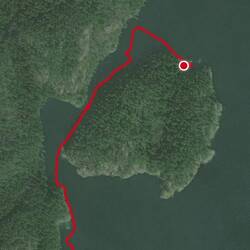 I pulled into shore right after I photo'd the seal, when I noticed the hobie getting deflated.