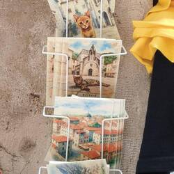 Cat postcards