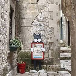 Cat shop