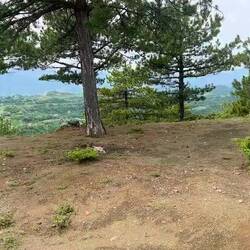 SH 36 Richtung Qafe Murre
