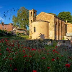 Chiesa di Santa Croce and a field of poppies ... near our B&B — Ravenna, Italy.