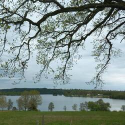 ...der See bei Tolg