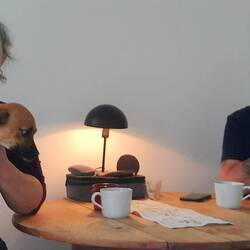 ...vierfaches,freudiges Treffen