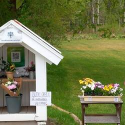 ...niedliche Reklame für Blumen-und Deko-Verkauf