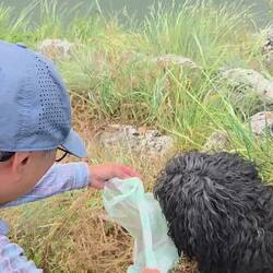 We were concerned Incontinent Rug was dehydrated as it kept peeing.
