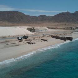Salt Farm