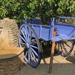 Zurück in der Sonne - Provence, Lavendel ...
