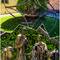 Nativity sculpture near the baptistery by Cesare Cardinale — Ravenna, Italy.