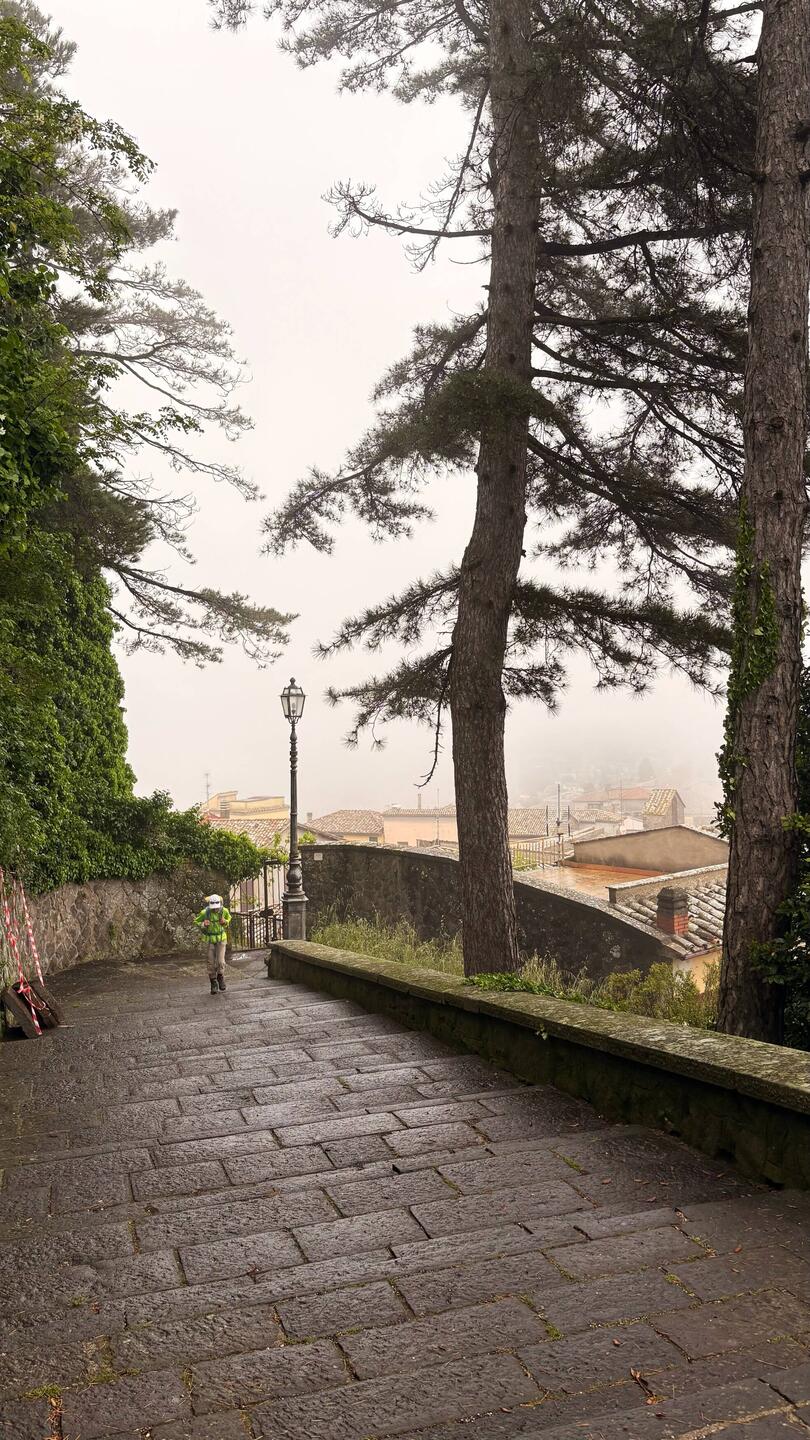 8:30 Montefiascone, Nebel,