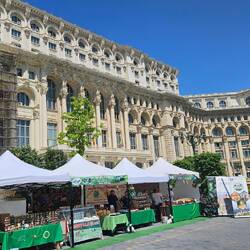 Rumänische Markt vor dem Palast