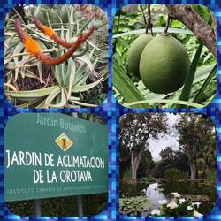 Im Botanischen Garten
