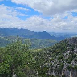 Mirador