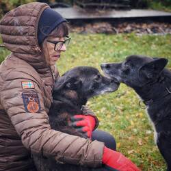 Fröhliche Hundezeiten im Herbst