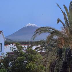 Gestatten : Pico