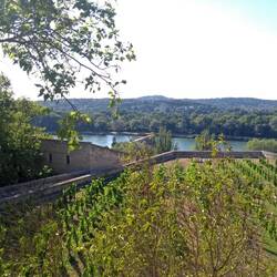 Der päpstliche Weinberg, hoch über Stadt und Fluss
