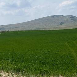 Landwirtschaftliche Riesenflächen