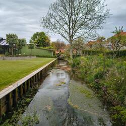 Ribe ist schön angelegt mit viel Wasser