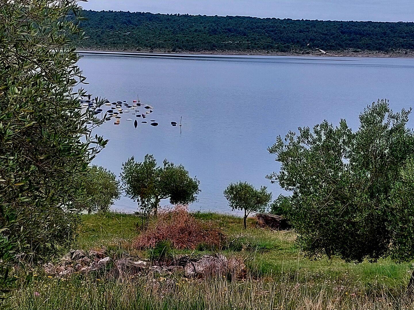 Die Miesmuschelfarmen. Hier wird sehr fleißig den ganzen Tag gearbeitet! So viel Aufwand!
