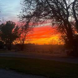 Subset from our campsite