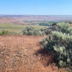 High above the Snake River