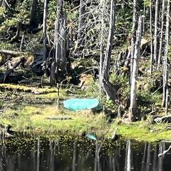 Zoomed in on a canoe or kayak down on the lake shore.