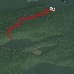 As much of the hike that I did.