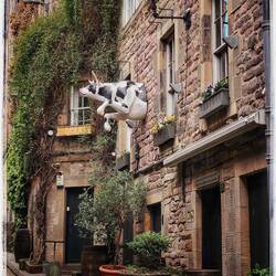 Cowgate