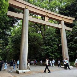 In Shibuya, the entrance to the Meiji Shrine,the most important Shinto shrine in Tokyo