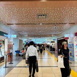 Wo geht es hier bitte wieder raus?