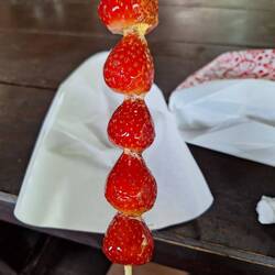 Erdbeeren