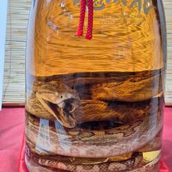 Habu-Schlangen Sake