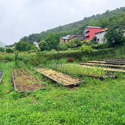 Garden at Casa Susi