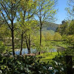 Teich beim Campingplatz La Verna